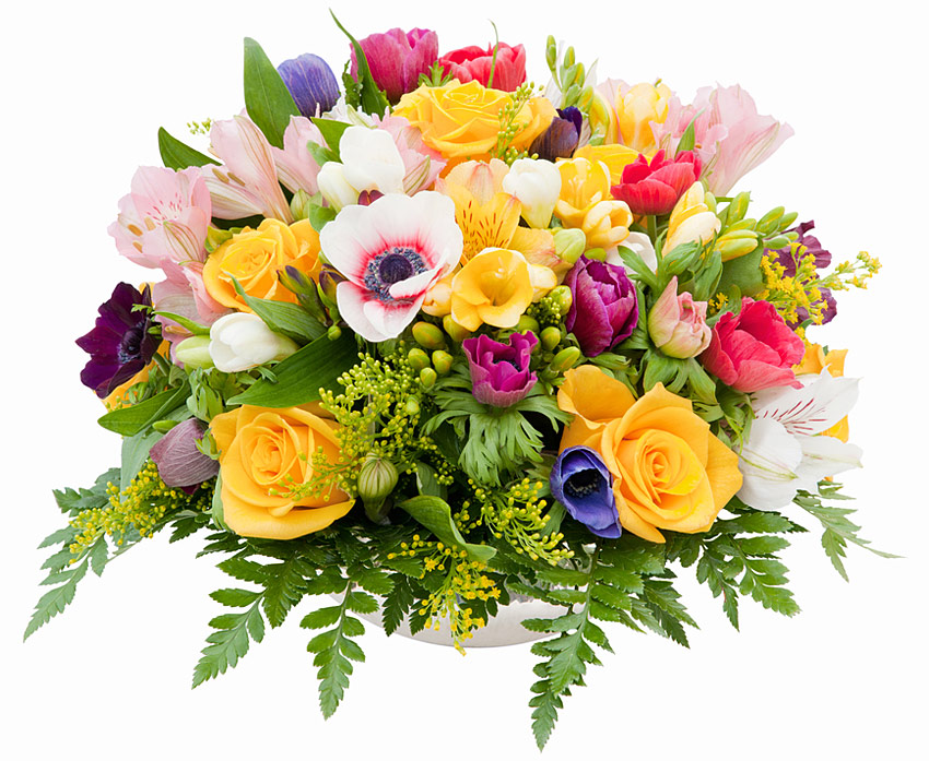 Поздравления НИУ «БелГУ» Поздравляем с присвоением учёного звания!
